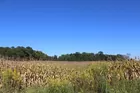 11+/- Acres on W Franklin in Evansville
