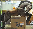 36.5-in. high Carved Wood Carousel Horse