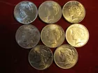 #90 (8) Mint State Peace Dollars
