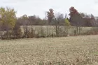 Rolling Acreage in Chrisney / Gentryville, IN