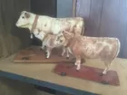 Early Pull Toys