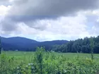 13 + or - acres sold 