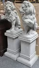 Pr. 52-in. tall Concrete Lions on Pedestals
