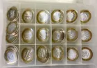 22 .999 Fine Silver Casino Tokens