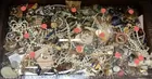 Case With Costume Jewelry