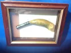 238) Powder horn in case