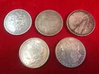 #37 (5) Morgan Dollars