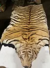 Tiger Skin Rug