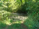 60 acres, Hampshire, Lewis County