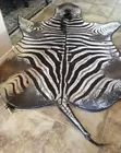 Authentic African Trophy Zebra Skin Hide Rug