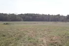 Vanderburgh County Acreage