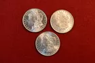 51) Mint State Morgans