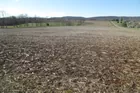 23 Acres Farmland