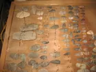 Arbogast Sale