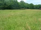 53.92 Acres- Dowell Branch Road
