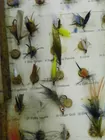 Vintage Wet & Dry Fly Display