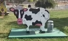 Bessie The Cow