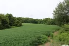 Posey County Wooded & Open Land