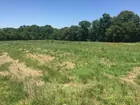30+/- Acres on Middle Mt Vernon Rd in Posey County