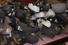 Large Decoy Collection