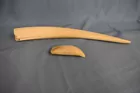 19th c. Tusk & Whale tooth