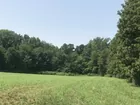 Posey County Land