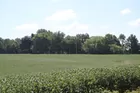 Posey County Farm Land!