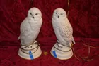 Owl Lamps