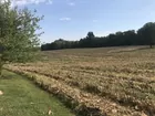 20+/- Beautiful Acres in Scott Twp!