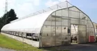 Harnois 30' x 114' greenhouse