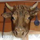 steer head 