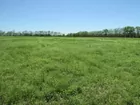 30.38 Acres in 2 Tracts