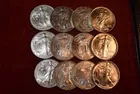 8) 12 Silver Eagles, Mint State