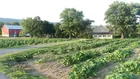 3.43 +/- ACRE FARMETTE W/ POND IN BERKS CO