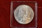 229) 1899 Morgan, AU.