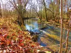 10.59 acres - Mapleash Ave., Columbia, TN.
