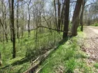 11.29 acres - Williamsport, TN.