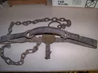 Bear Trap