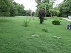 Residential Lot. - Billy Lee Street, Columbia, TN