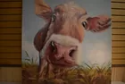 Cow painting