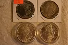 115) 4 Morgans, MS.