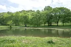262 Acres. 1845 Terrapin Branch Rd. Mt. Pleasant,