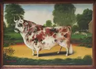 Amos Shontz, Black Spotted Bull