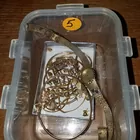 Gold Miscellaneous Jewelry