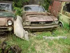 1965 Mustang Fastback  (In the Weeds)