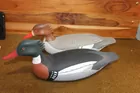  PAIR OF FULL SIZED HOODED MERGANSER DUCK DECOYS B