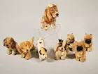 Group of Steiff Puppies