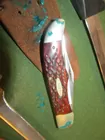 Case Pocket knife