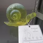 Fenton uranium glass snail