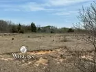 land Auctrion